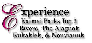 Katmai Lodge Alagnak River
